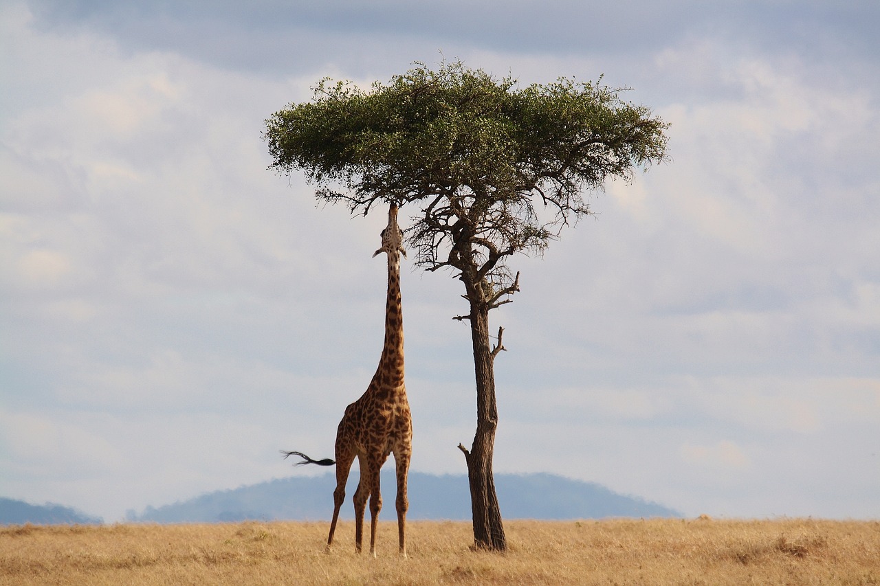 M&K African Adventures Founders