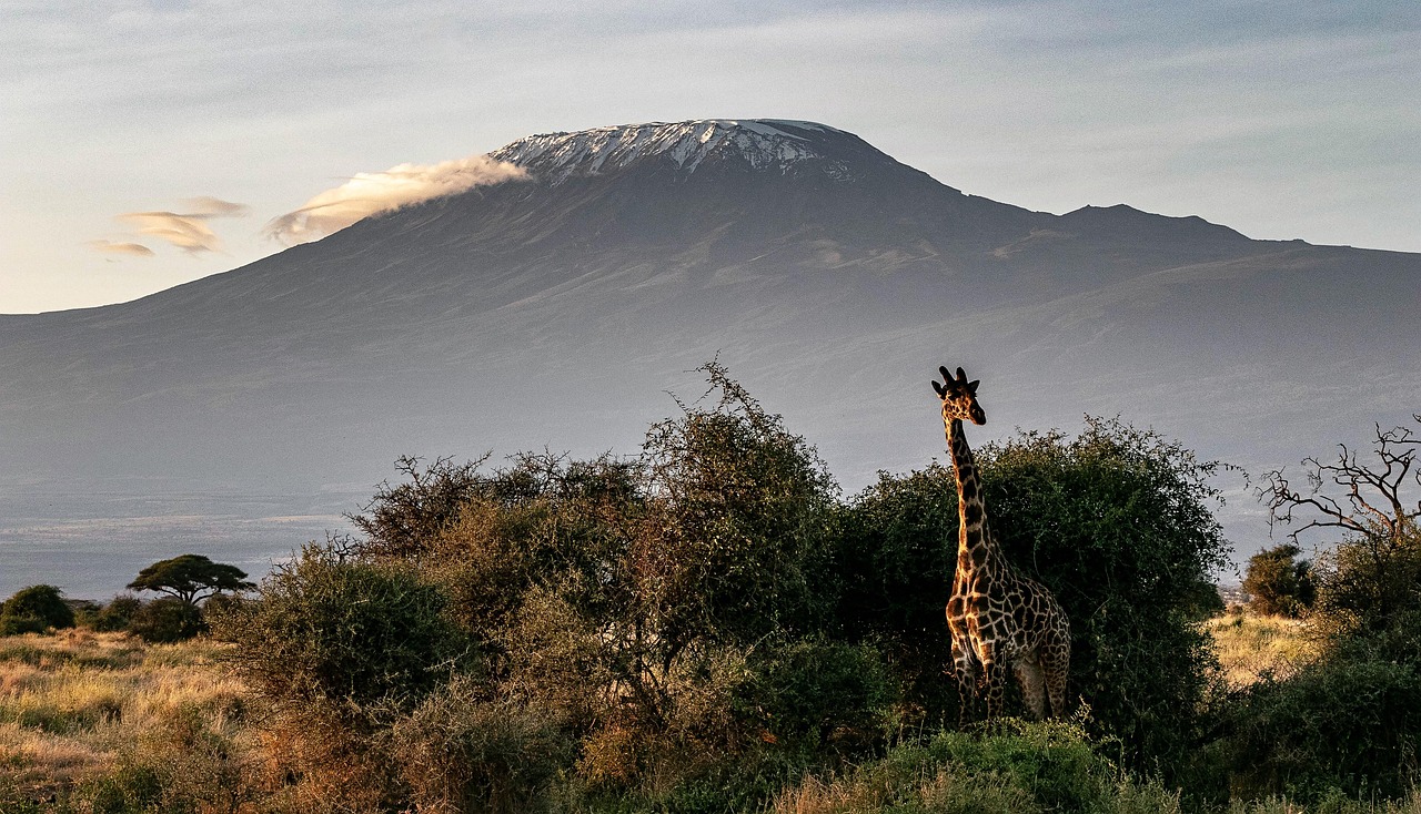 Kilimanjaro Lemosho Route
