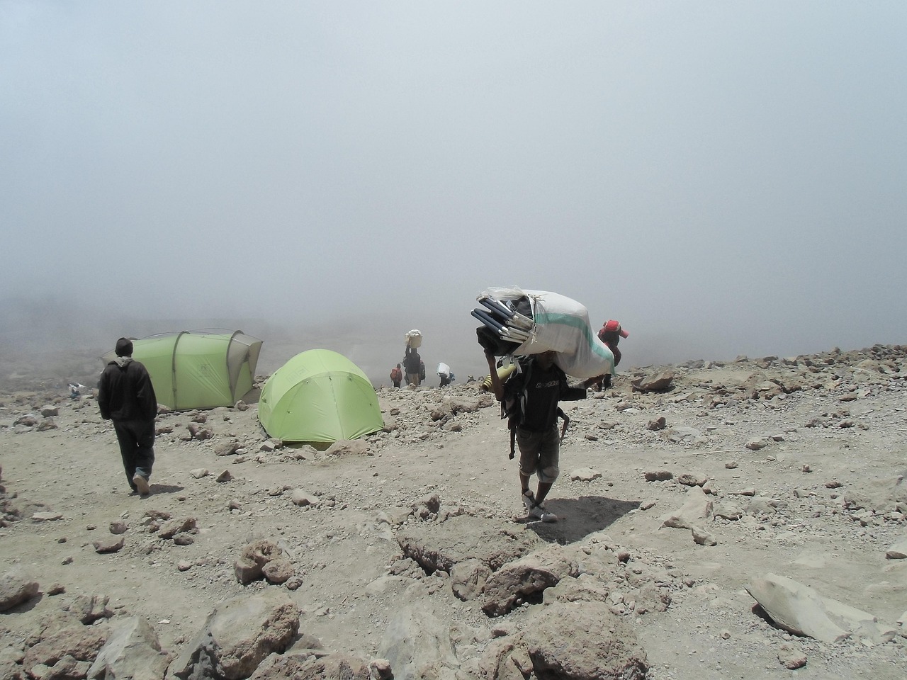 5 Days Tanzania Safari