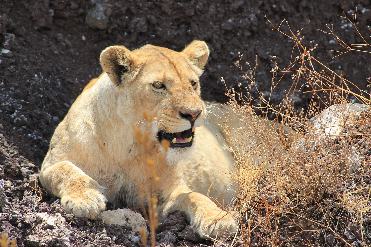 Serengeti National Park